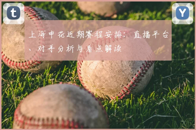上海申花近期赛程安排:直播平台、对手分析与看点解读