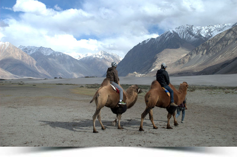 Hotel Stendel Nubra