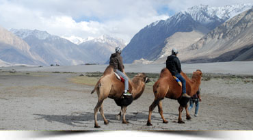 Hotel Stendel Nubra Tour packages